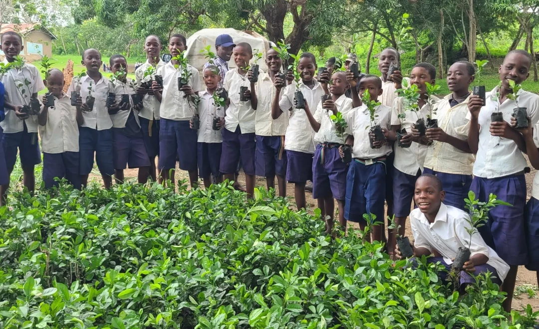 Schoolchildren holding tree saplings beside rows of nursery seedlings